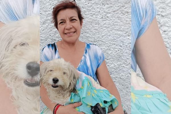 Esterilización gratuita en Tarímbaro.