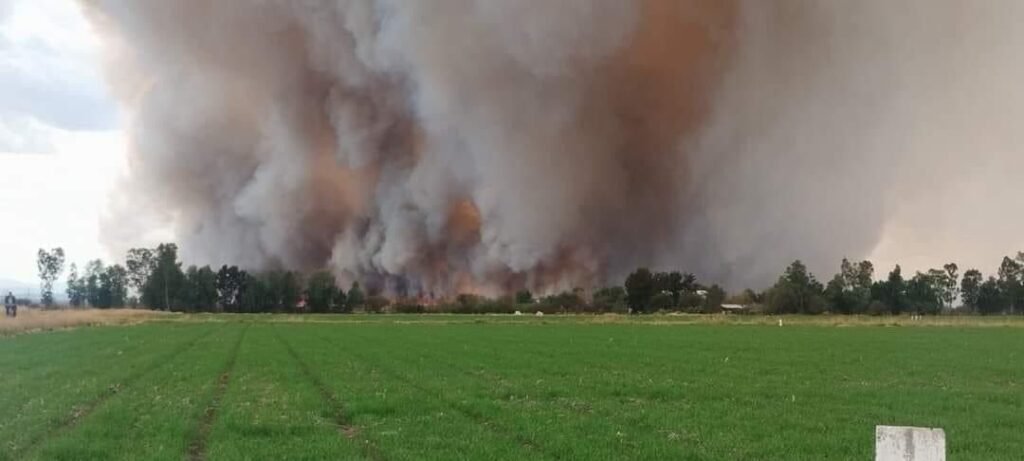 Gobernador de Michoacán descarta contingencia ambiental por incendio en el Lago de Cuitzeo 3 WhatsApp Image 2024 02 07 at 2.27.53 PM 1