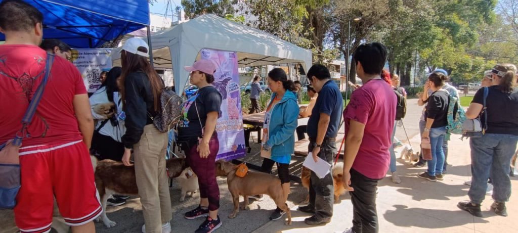 Morelia, primera ciudad de México con registro y acta de nacimiento de animales 2 img 20240225 wa00416500181232140962524