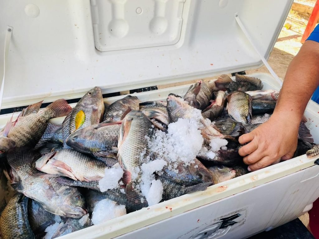 Mariscos frescos para evitar intoxicación o infecciones alimentarias 3 img 20240226 wa00226313596442962742458