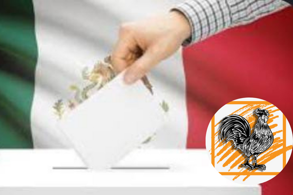 DiseC3B1osintC3ADtulo 20240302 143818 0000