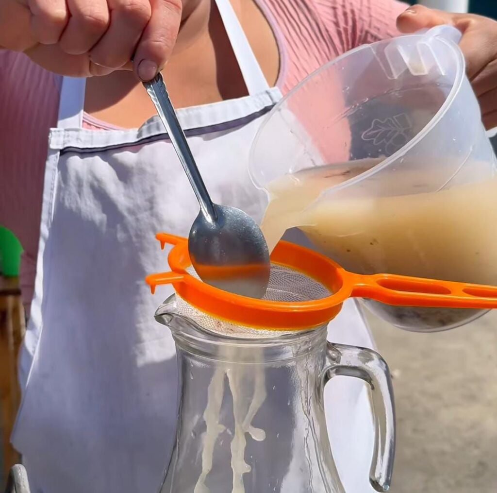 ¿Ya probaste el agua fresca de tortilla? 5 img 20240311 wa00125827551975344022298