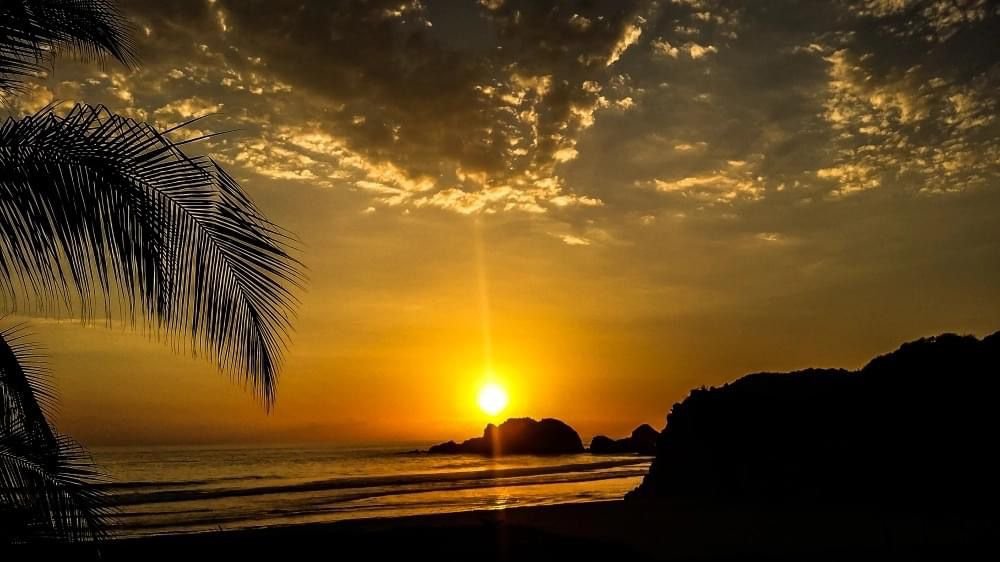 Dia Mundial de los Oceanos michoacan 4