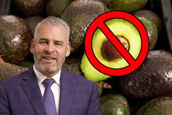 aguacate michoacan 1