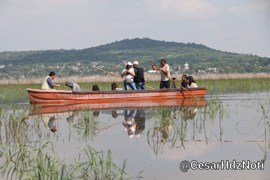 Morelia se inunda pero no es suficiente agua para abastecer Lago de Cuitzeo: Ambientalista, Frida Sauno 3 Morelia se inunda pero no es suficiente agua para abastecer Lago de Cuitzeo Ambientalista Frida Sauno 3