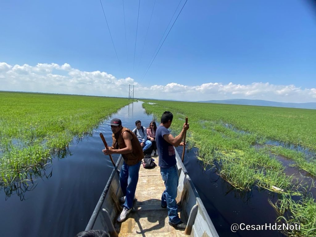 Planta tratadora de Atapaneo ayuda, se necesitan más para recuperar Lago de Cuitzeo: Ambientalista 3 Planta tratadora de Atapaneo ayuda se necesitan mas para recuperar Lago de Cuitzeo Ambientalista O