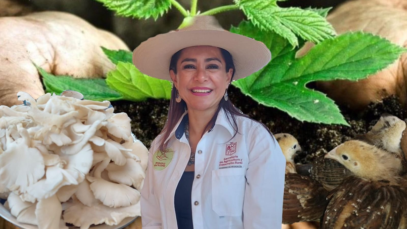 Produce lo que te comes programa insignia de SADER para familias de Michoacan Marx Aguirre