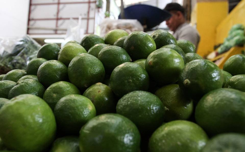 Esto es lo que ocurre con el Limón en Michoacán 3 limon michoacan ok