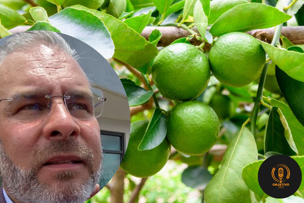 limon michoacan