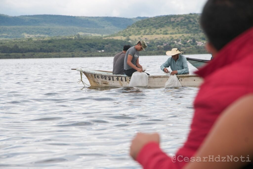 Gobernador de Michoacán decidirá el empleo temporal a pescadores del Lago de Cuitzeo: COMPESCA 2 Bedolla decidira el empleo temporal a pescadores del Lago de Cuitzeo COMPESCA