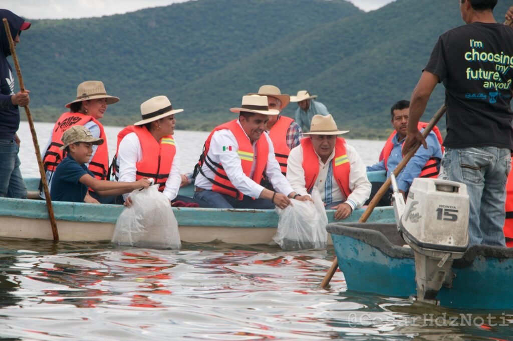 Gobernador de Michoacán decidirá el empleo temporal a pescadores del Lago de Cuitzeo: COMPESCA 3 Bedolla decidirá el empleo temporal a pescadores del Lago de Cuitzeo COMPESCA