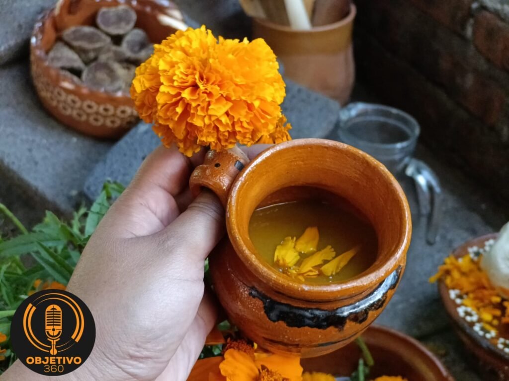 Enamórate de México y disfruta de la ruta de las flores de cempasúchil en tres municipios de Michoacán 5 Enamorate de Mexico y disfruta de la ruta de las flores de cempasuchil en tres municipios de Michoacan 90k