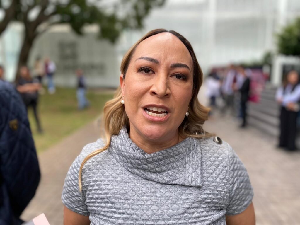 Importante la capacitacion para acceder a recursos del DIF en Michoacan en favor de la sociedad Grisel Tello 2