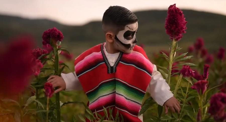 Ya Viene el Festival de las Flores Copándaro: Un Fin de Semana de Color y Aroma a Cempasúchil 2 Ya Viene el Festival de las Flores Copandaro Un Fin de Semana de Color y Aroma a Cempasuchil