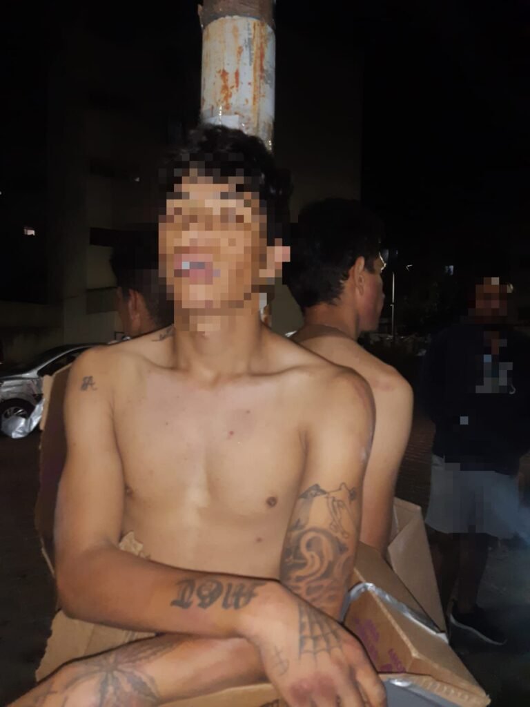 Vecinos Vigilantes de Villas del Pedregal apañan presuntos ratones crikosos 3 img 20241026 wa00311057532643619555329