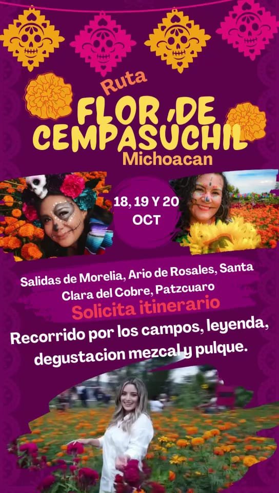 Michoacán se Alista para la Ruta de las Flores de Cempasúchil: Recorridos Turísticos en Copándaro, Tarímbaro y Cuitzeo 4 ruta de las flores enamorate de mexico cempsuchil