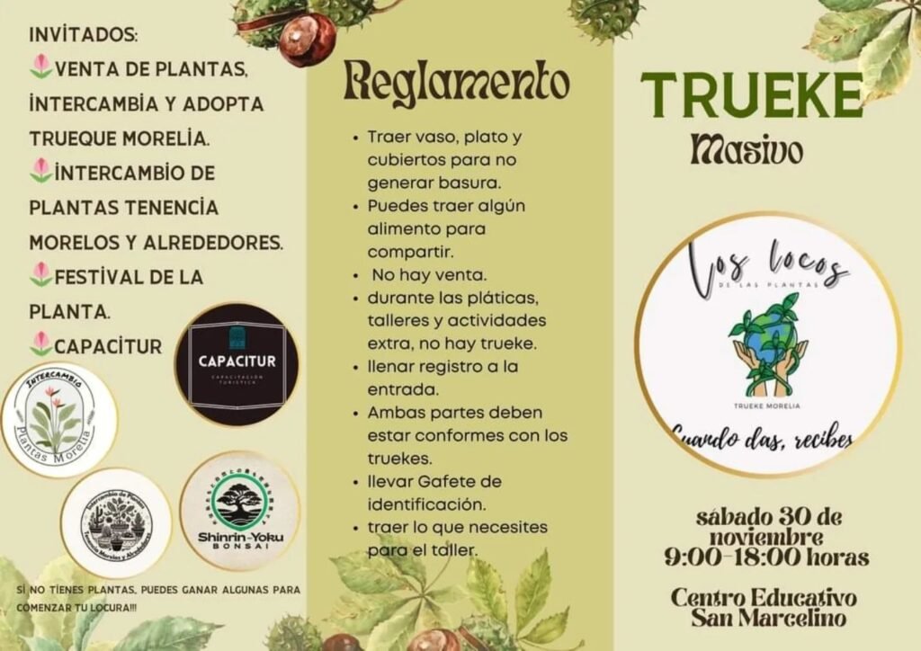 Morelia se llena de verde: Trueque Masivo de Plantas este 30 de noviembre 3 Habra trueque masivo de plantas en Morelia este 30 de Noviembre