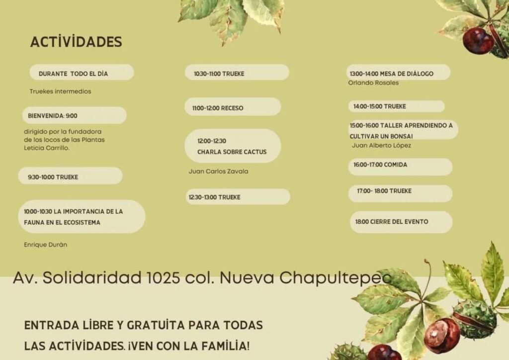 Morelia se llena de verde: Trueque Masivo de Plantas este 30 de noviembre 4 Morelia se llena de verde Trueque Masivo de Plantas este 30 de noviembre sada