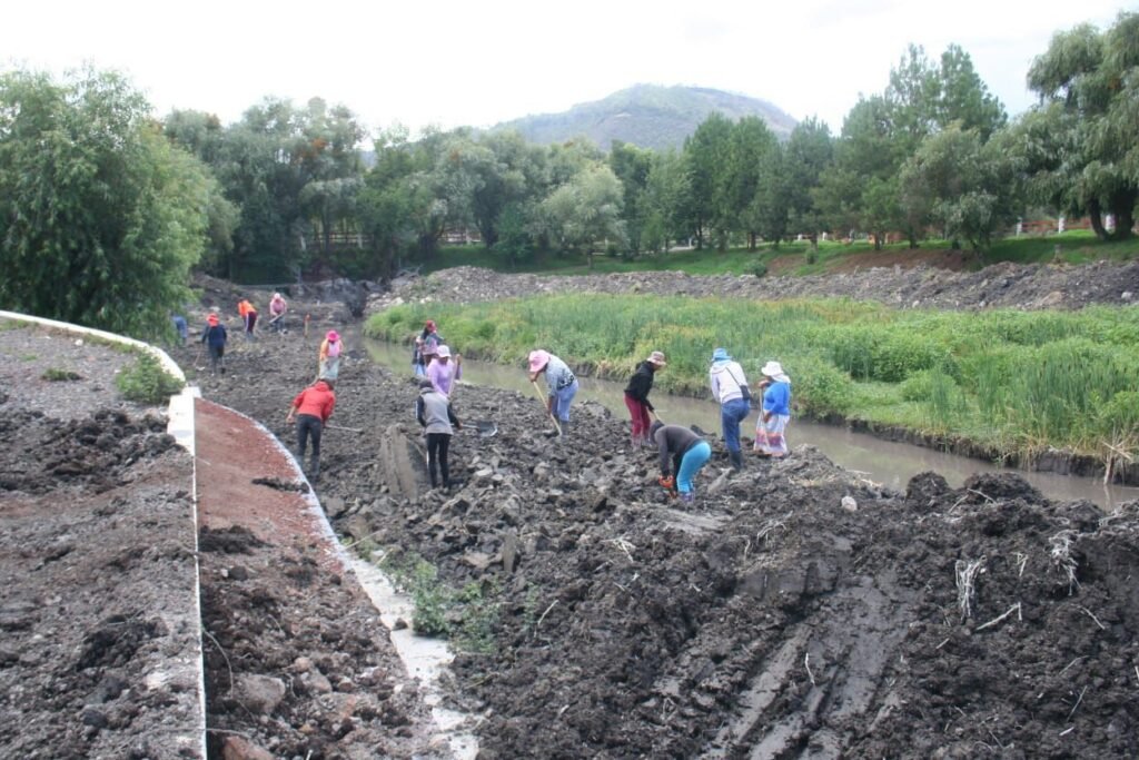 Garantizado en 2025 empleo temporal para rescate del lago de Pátzcuaro: Secma 2 img 20241219 wa00684237793169332530368