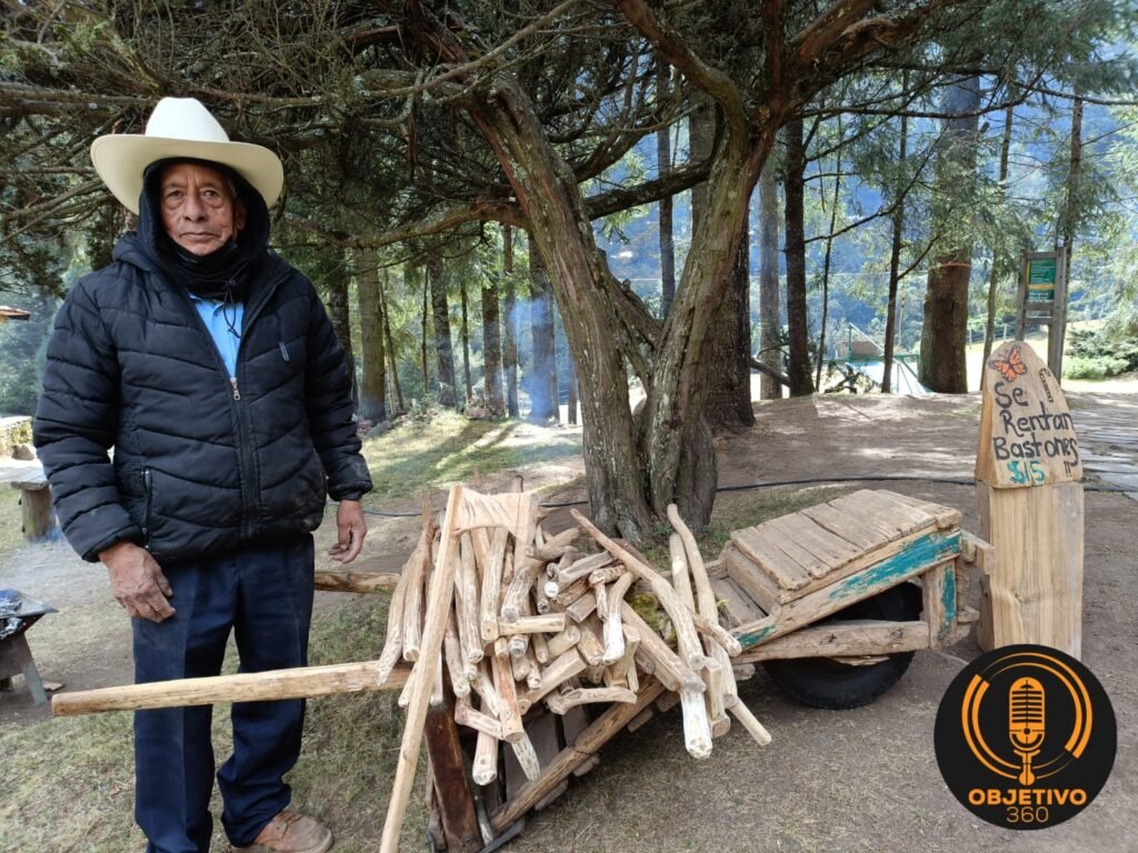 A 50 anos del descubrimiento de los santuarios de las Mariposas Monarca te invitamos a disfrutar de su visita en Michoacan kl