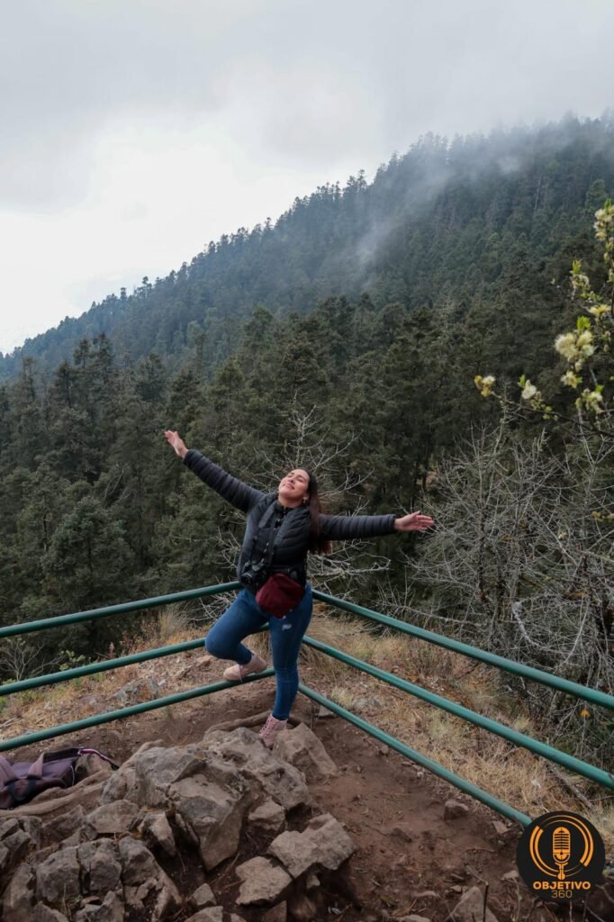 A 50 anos del descubrimiento de los santuarios de las Mariposas Monarca te invitamos a disfrutar de su visita en Michoacan yuo