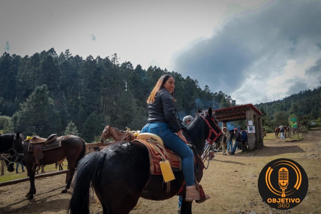 A 50 anos del descubrimiento de los santuarios de las Mariposas Monarca te invitamos a disfrutar de su visita en Michoacanlnnl