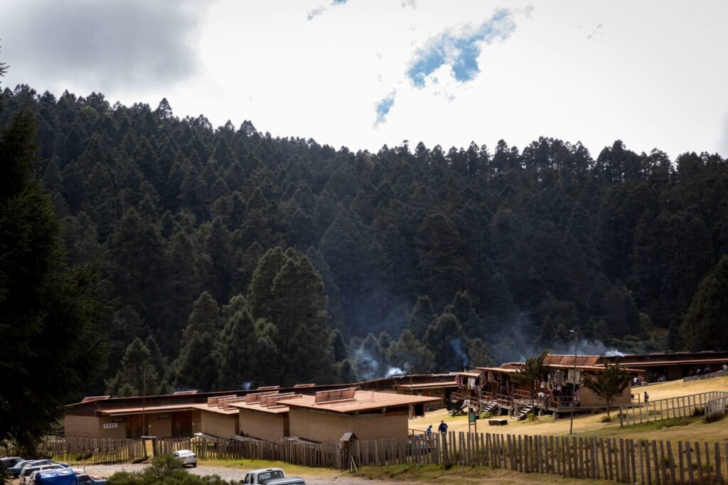 Invertirá Gobierno de Michoacán 6.5 mdp en Santuario de Sierra Chincua 3 img 20250111 wa00092041700648116816992