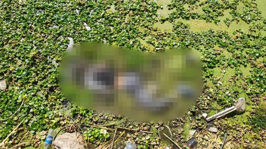 Hallan cuerpo sin vida en el Lago de Cuitzeo 8
