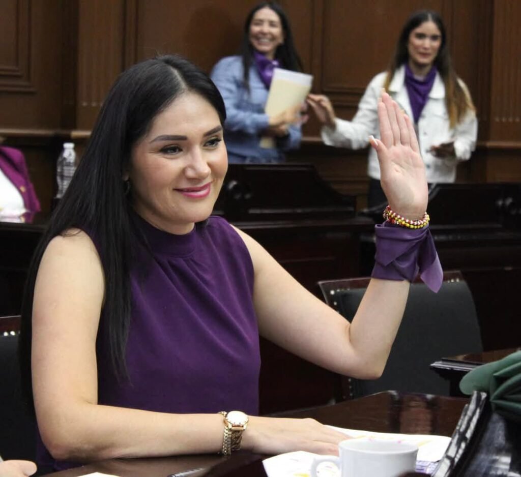 Desde el PT seguiremos trabajando por garantizar una vida libre de violencia para las infancias y las mujeres: Diana Espinoza 2 img 20250308 wa00401470440697099834543