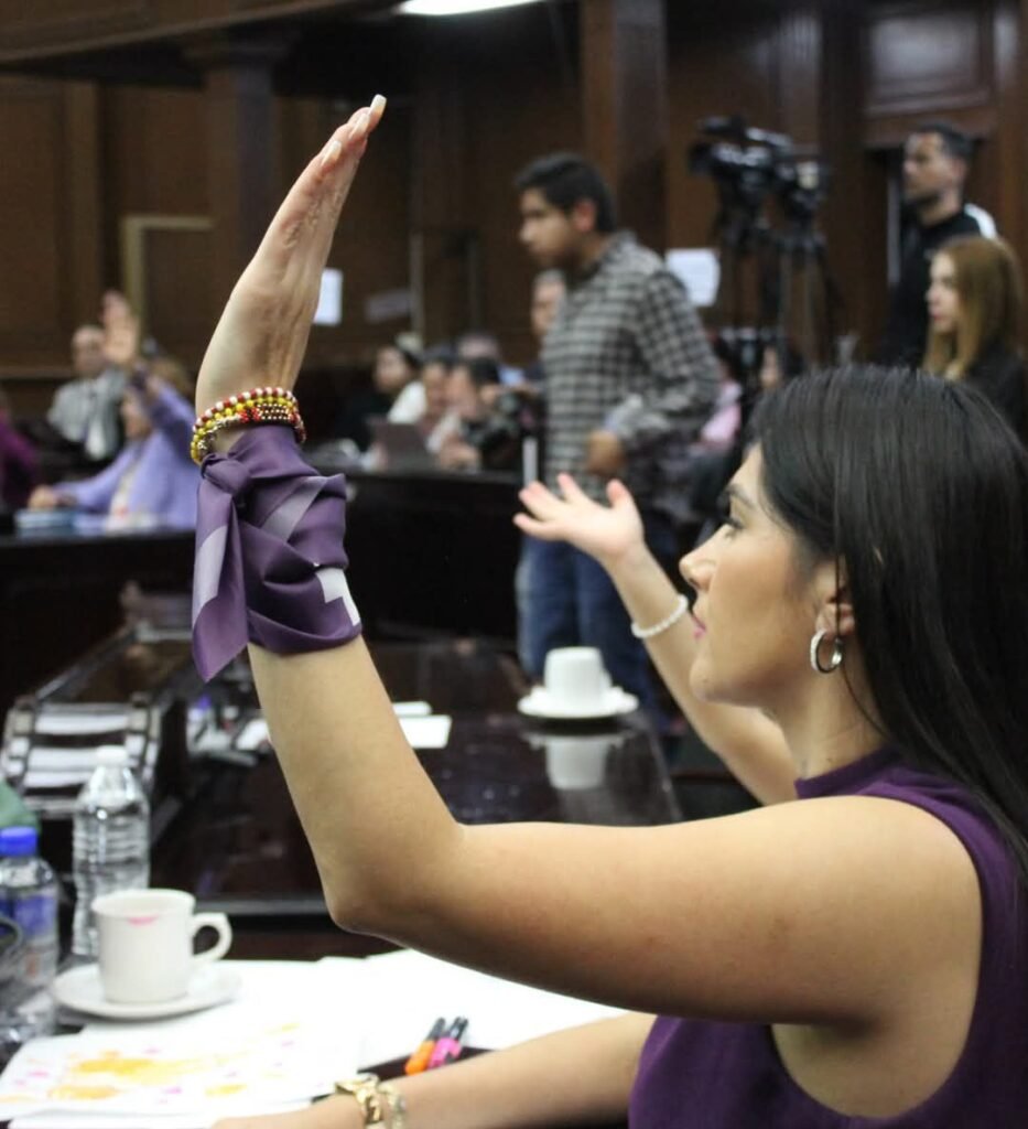 PT mantiene compromiso con erradicación de violencia contra las mujeres: Diana Espinoza 2 img 20250326 wa00302979959911978274307