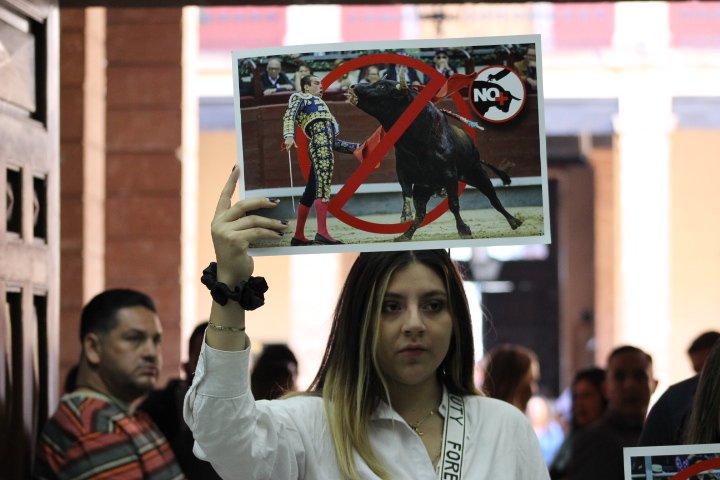 Congreso de Michoacán aprueba iniciativa que prohíbe las corridas de toros, encierros y novilladas 3 Congreso de Michoacan aprueba iniciativa que prohibe las corridas de toros encierros y novilladas 2