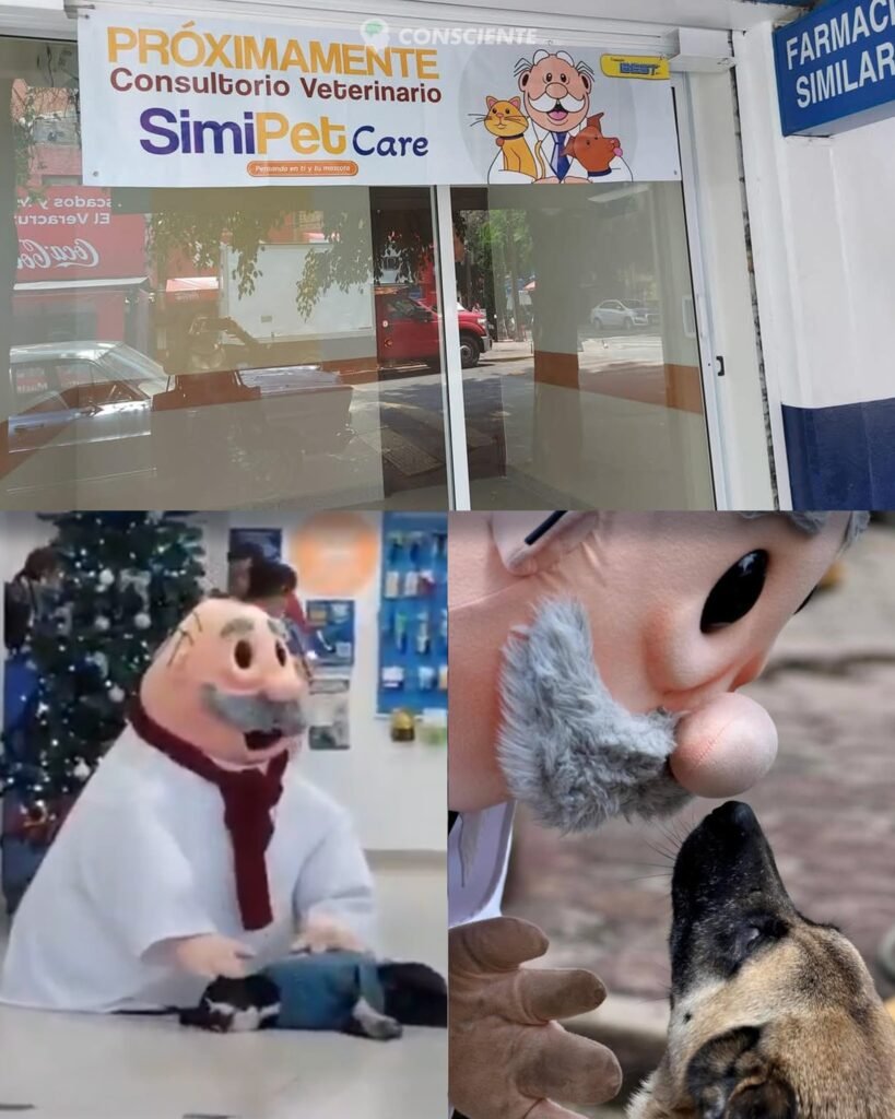 Dr. Simi podría brindar atención veterinaria a bajo costo para las mascotas de México 3 Dr. Simi podria brindar atencion veterinaria a bajo costo para las mascotas de Mexico io
