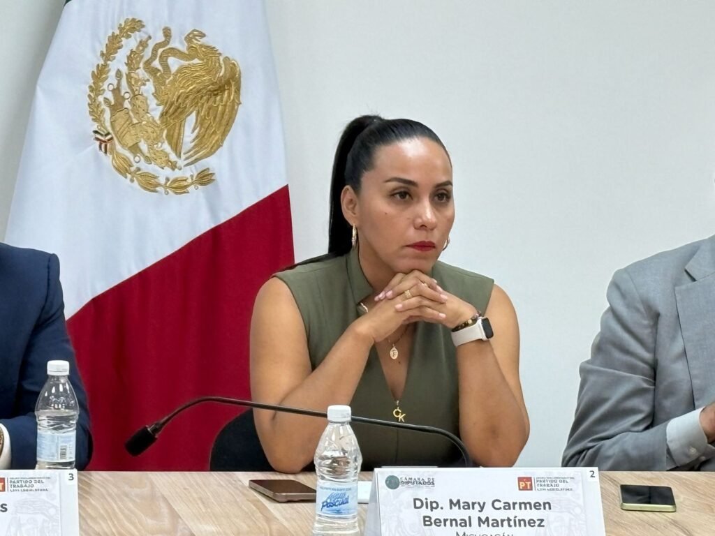 El PT no le falla a Michoacán, diputados federales resaltan compromiso con la 4T 3 img 20250501 wa00151225389236285434800