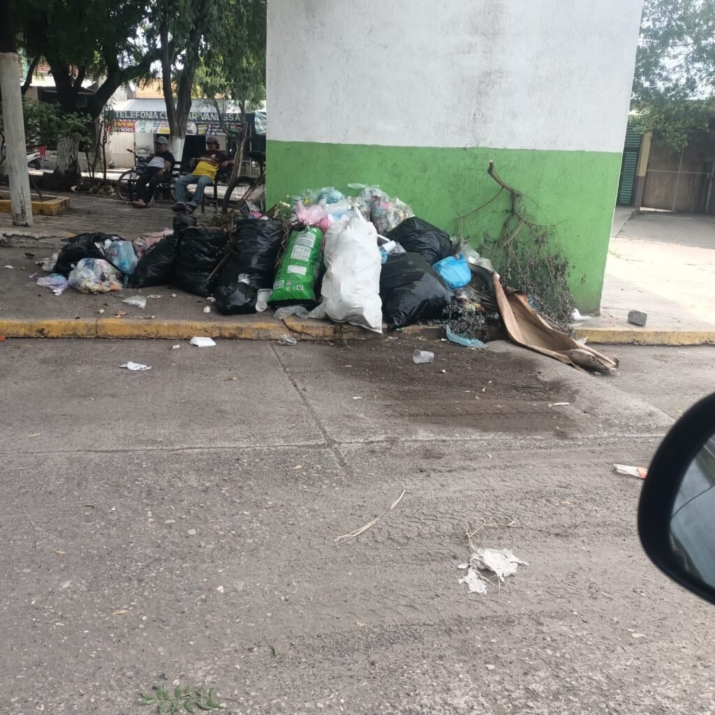 La Ruana está entre moscas, basura, contaminación y balaceras; denuncia hermano de Don Hipólito Mora 4 La Ruana esta entre moscas basura contaminacion y balaceras denuncia hermano de Don Hipolito Mora 76