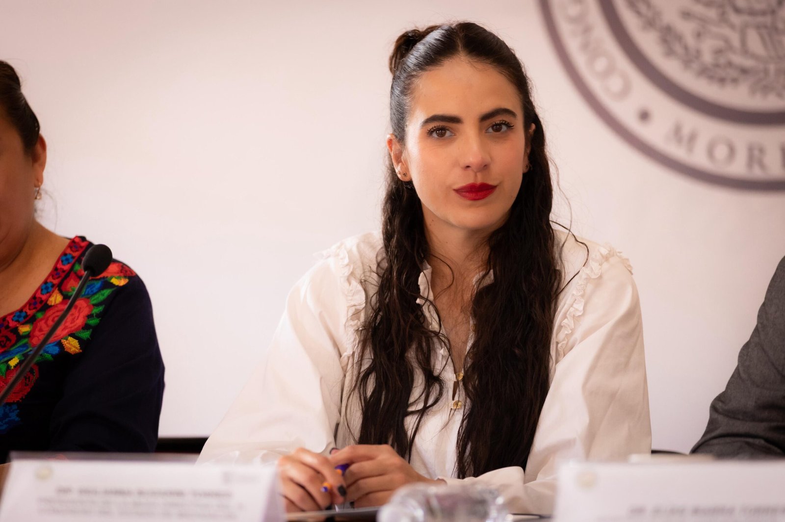 Giulianna Bugarini solicita a la Suprema Corte pronta resolucion para respetar la ley y garantizar la prohibicion de corridas de toros en Michoacan 34 scaled
