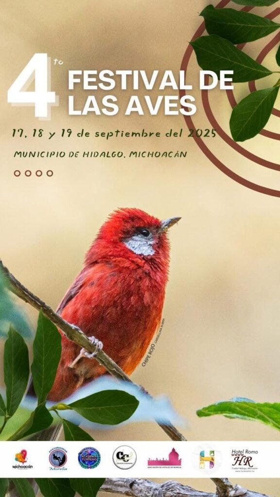 ¡Mirando al pajarito! Listo el 4° Festival de las Aves en Cd Hidalgo 2 img 20250909 wa00677264822764294793907