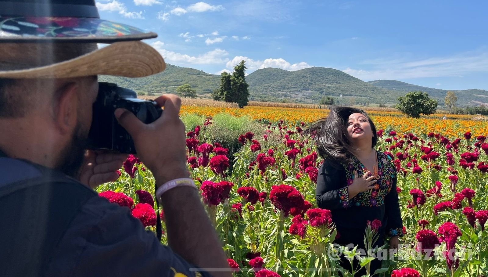 Desde Morelia disfruta del Tour Andares entre Flores previo al Día de Muertos 2025 1 a117ff59f8974a929c45350dedd57977