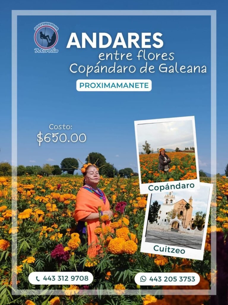 Desde Morelia disfruta del Tour Andares entre Flores previo al Día de Muertos 2025 3 img 20251008 wa00728015125806728756735