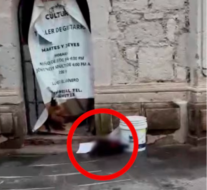 Solicita FGE apoyo ciudadano para identificar a una mujer localizada sin vida en Tarímbaro
